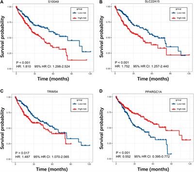 Construction of a tumor immune infiltration macrophage signature for predicting prognosis and immunotherapy response in liver cancer